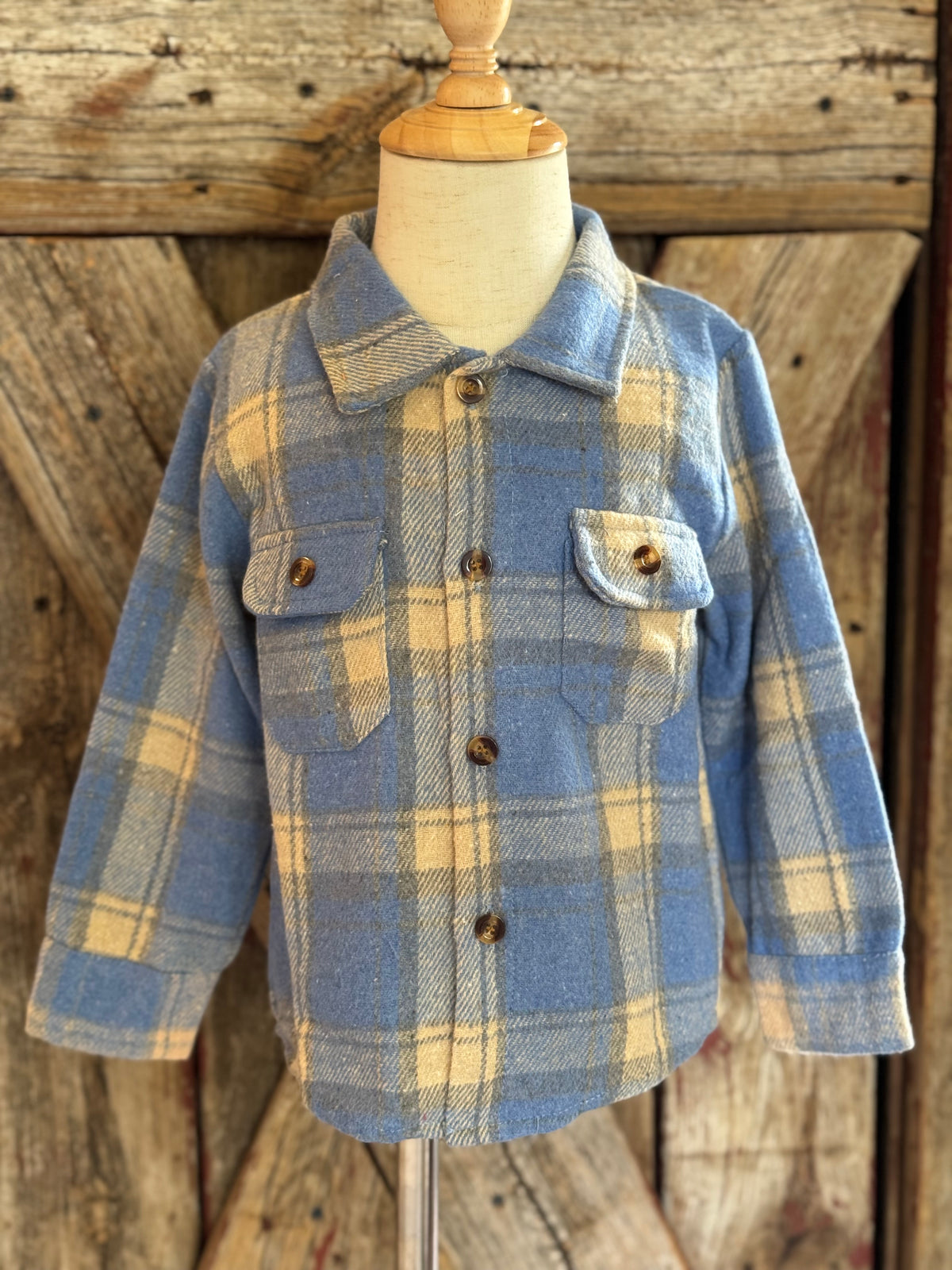 Blue Plaid Button Up