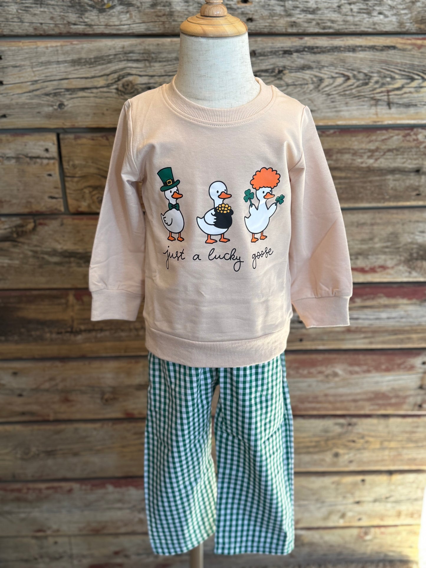Lucky Little Goose Set